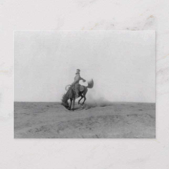 Bronco Busting Postcard Postkarte (Vorderseite)