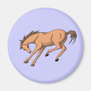 Bronco Magnet