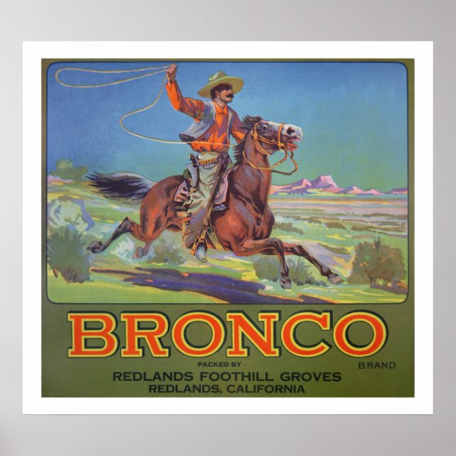 'Bronco Orange', c.1900 (Farblitho) Poster (Vorne)