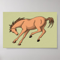Bronco