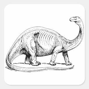 Brontosaurus Quadratischer Aufkleber