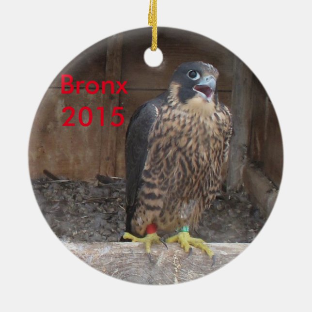 Bronx-Verzierung 2015 Keramik Ornament (Hinten)