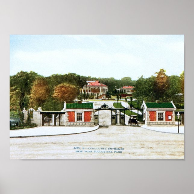 Bronx Zoo, New York City Vintag Poster (Vorne)