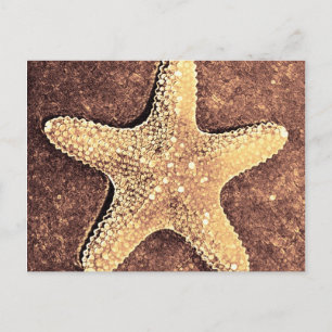 Bronze Starfish Postkarte
