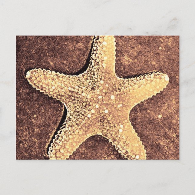 Bronze Starfish Postkarte (Vorderseite)