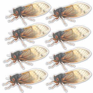 Brood X Periodical Cicada Stickers: 8 pro Blatt Aufkleber
