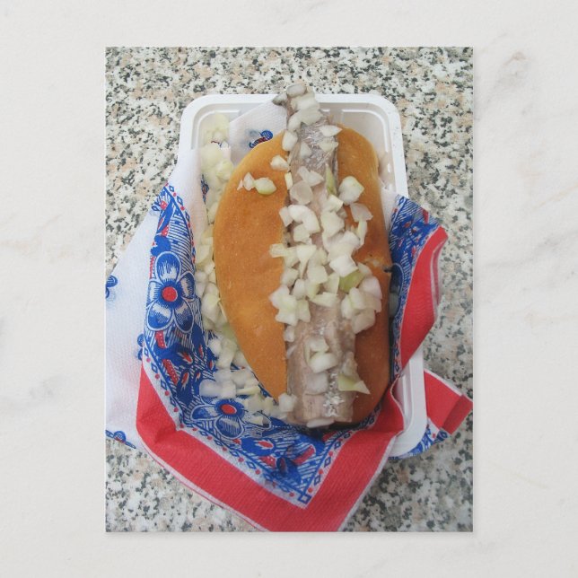 Broodje Raw Herring mit Onions Post Card Postkarte (Vorderseite)