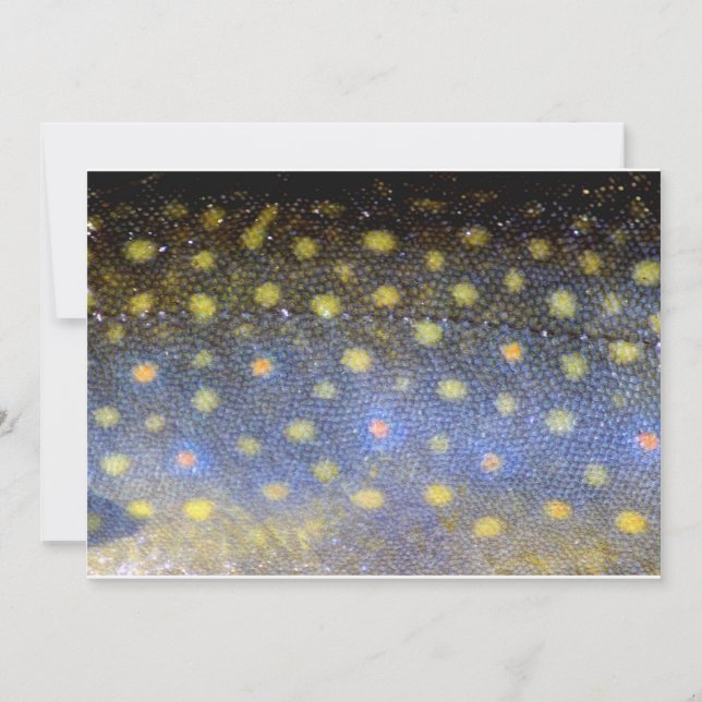 Brook Forellen Fischskalen Party Einladung (Vorderseite)