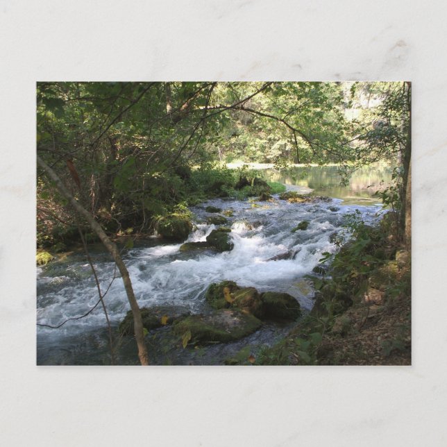 Brook in Alley Springs, Missouri Postkarte (Vorderseite)