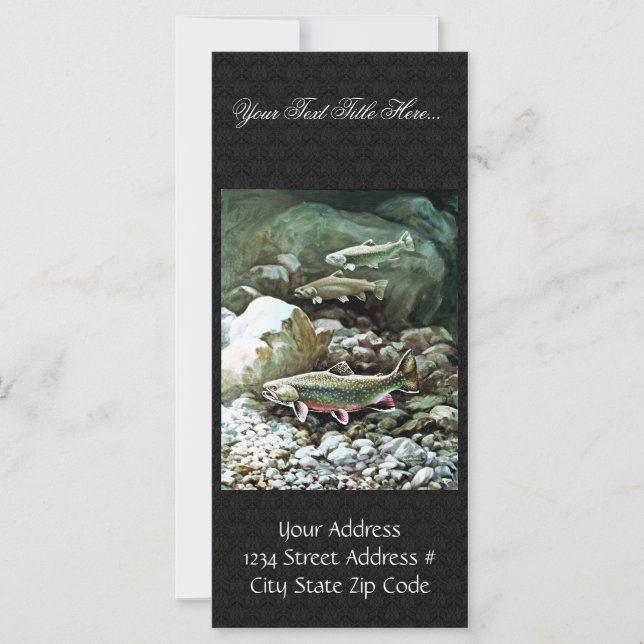 Brook Trout (Vorderseite)