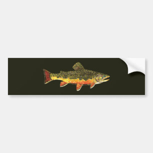 Brook Trout Fish Painting Autoaufkleber