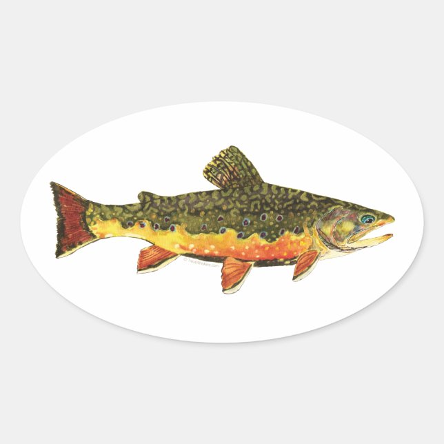 Brook Trout Fish Painting Ovaler Aufkleber (Vorderseite)