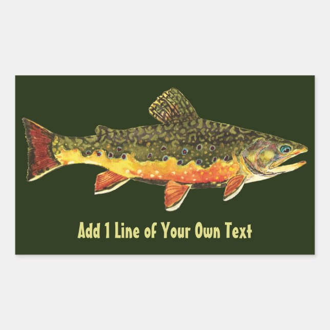 Brook Trout Fisherman Rechteckiger Aufkleber (Vorderseite)