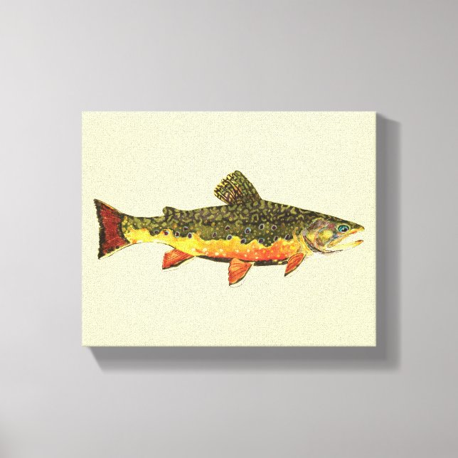 Brook Trout Leinwanddruck (Vorderseite)
