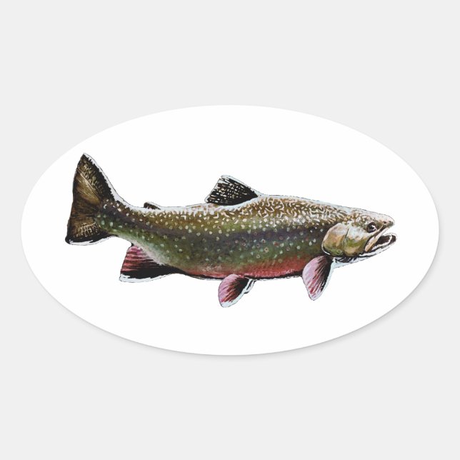 Brook Trout Logo (Schwimmen) Ovaler Aufkleber (Vorderseite)