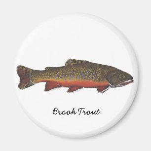 Brook Trout Magnet