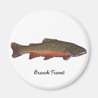 Brook Trout Magnet