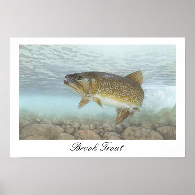 Brook Trout Painting Poster (Vorne)