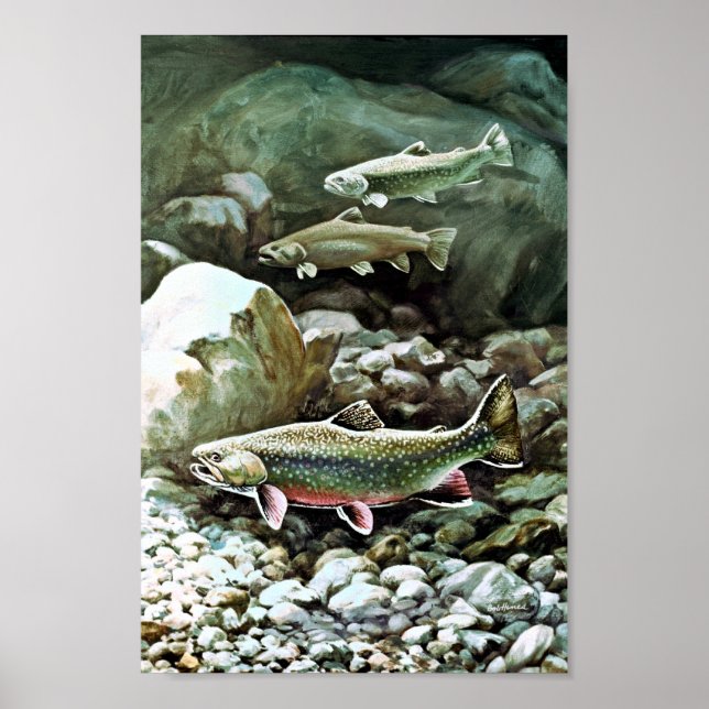 Brook Trout Poster (Vorne)