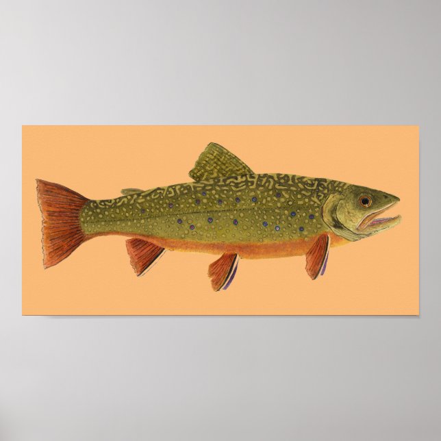 Brook Trout Poster (Vorne)