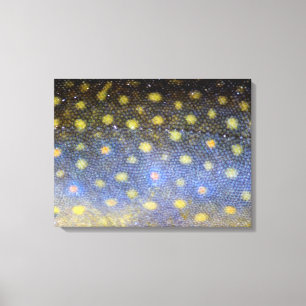 Brook Trout Scales Fotografie Leinwanddruck