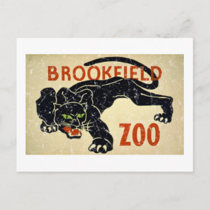 Brookfield Zoo-Panther-bedrängt Postkarte