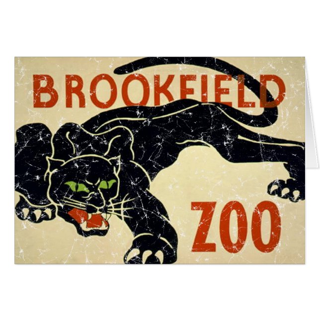 Brookfield Zoo-Panther in Not (Vorderseite (Horizontal))