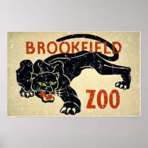 Brookfield Zoo-Panther in Not Poster
