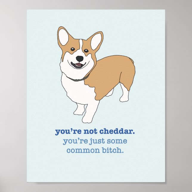 Brooklyn 99 Cheddar Poster (Vorne)