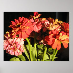 Brooklyn Bouquet Poster