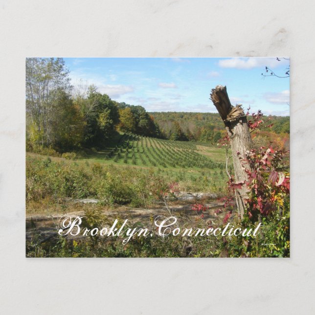 Brooklyn, Ct Postkarte (Vorderseite)