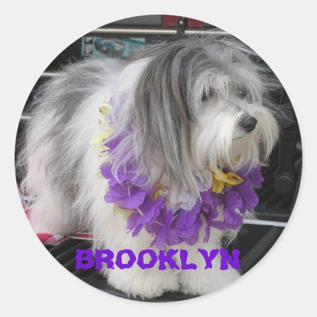 BROOKLYN LILA HAWAII STICKER (Vorderseite)