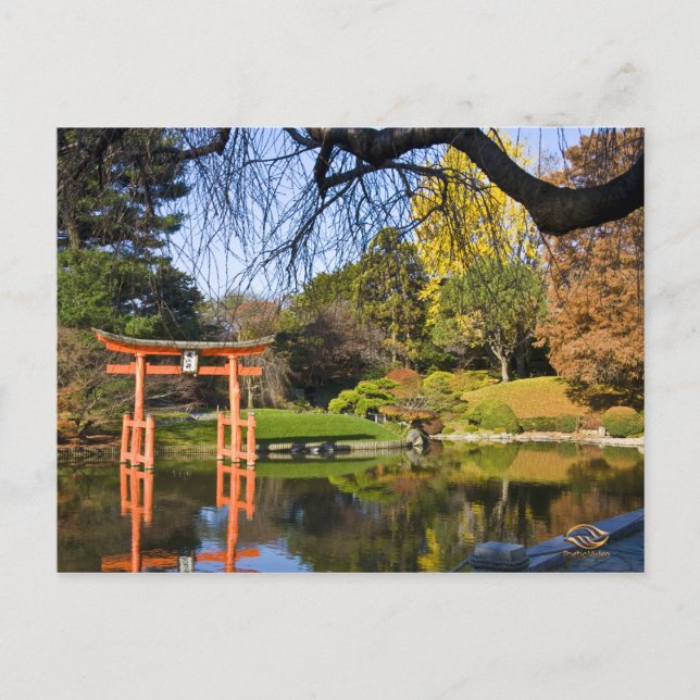 Brooklyn New York Botanischer Garten Fall Postkarte (Vorderseite)