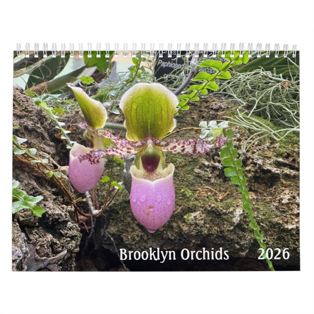 Brooklyn Orchids 2026 Calendar Kalender (Titelbild)