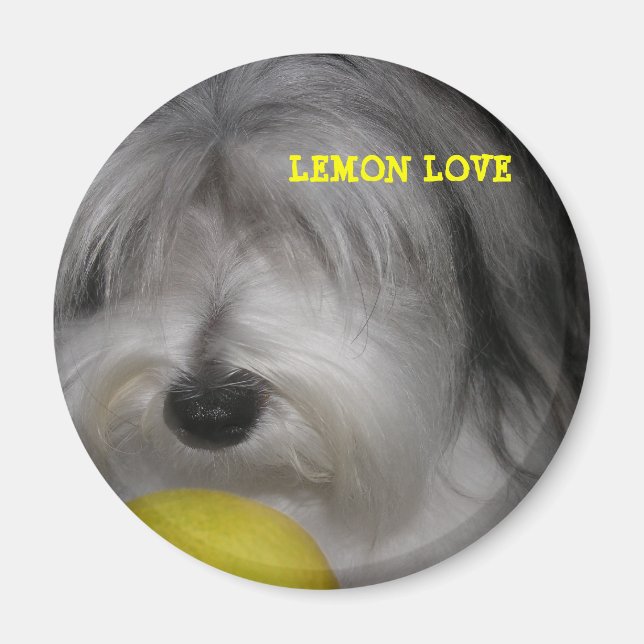 BROOKLYN REGELN LEMON LIEBE MAGNET (Vorne)