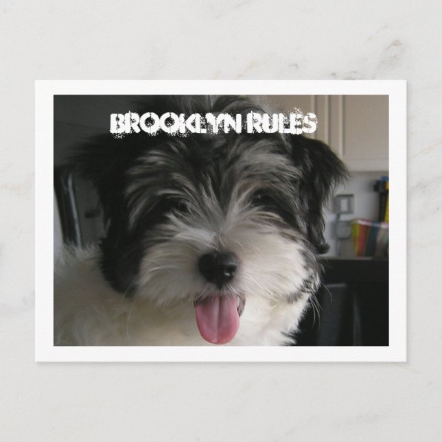 BROOKLYN REGLES POSTCARD POSTKARTE (Vorderseite)