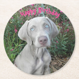 Brooklyn's Birthday Garden Party - Weimaraner Hund Runder Pappuntersetzer