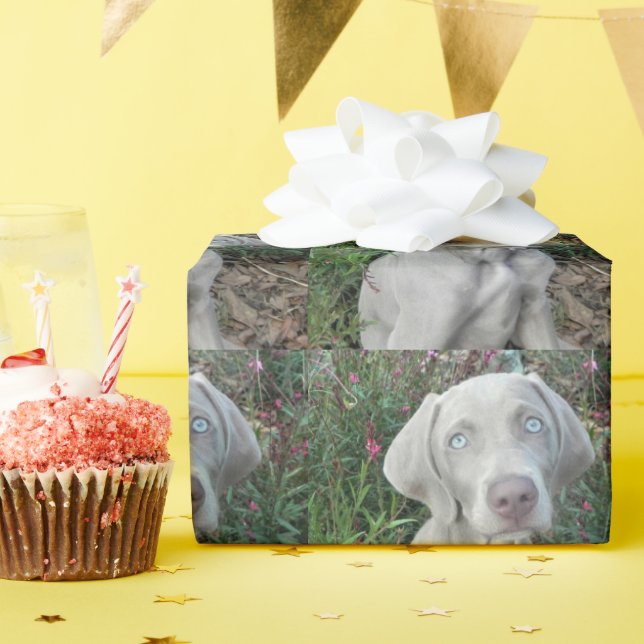 Brooklyn's Garden Party - Weimaraner Hund Geschenkpapier (Geburtstagsparty)