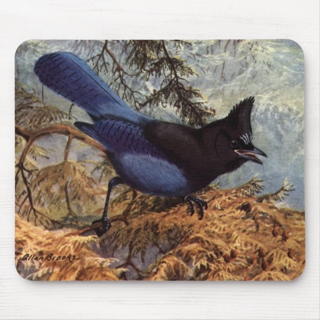 Brooks' Stellers Jay Mousepad (Vorne)