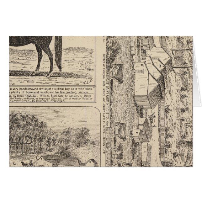 Brookside Dairy Farm (Vorderseite (Horizontal))