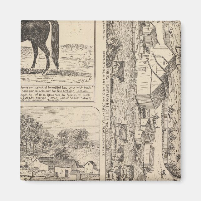 Brookside Dairy Farm Magnet (Vorne)