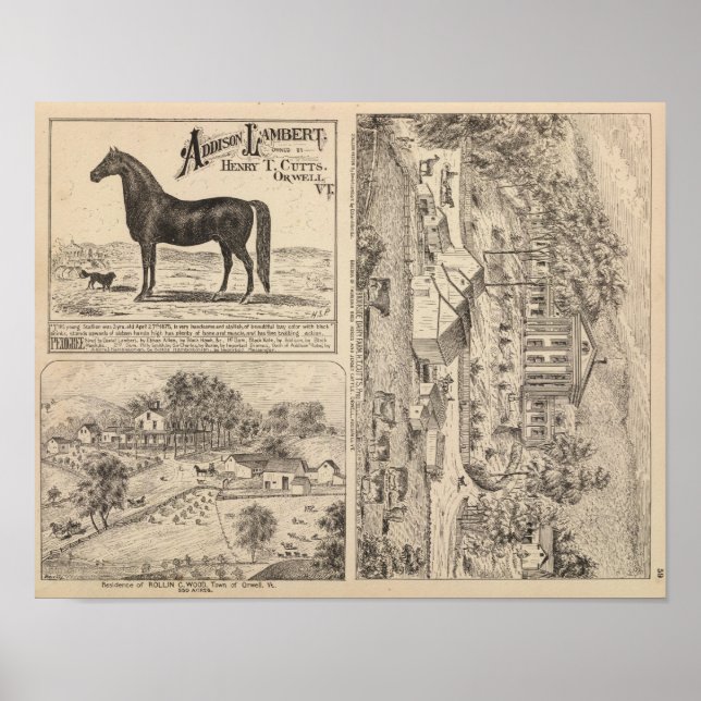 Brookside Dairy Farm Poster (Vorne)