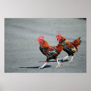 "Bros auf einem Stroll " Poster
