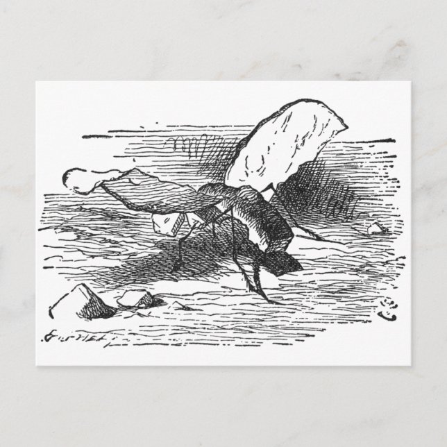 Brot und Butter Fliegen Postkarte (Vorderseite)