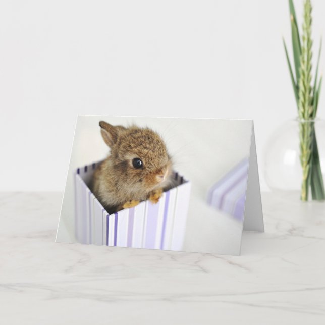 Brötchen im Kasten! Karte (Vorderseite)