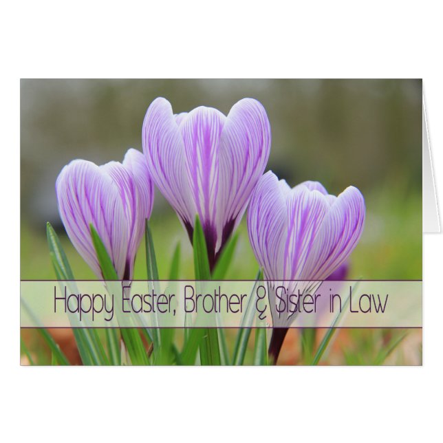 Brother & Ehefrau Happy Oaster Lila Crocses (Vorderseite (Horizontal))