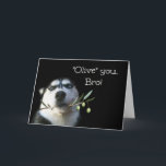 Brother Happy Birthday Card Funny Karte<br><div class="desc">Das ist eine niedliche Geburtstagskarte für deinen Bruder.  Ein schöner Husky mit einem Olivenzweig.  Erzähl deiner Bro,  "Olive" (Ich Liebe) du an seinem Geburtstag!</div>