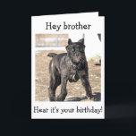 BROTHER-ITALIENISCHE KANE CORSO-"GLÜCKLICHER BIRTH KARTE<br><div class="desc">DIESER ITALIENISCHE KANE IST SO BEREIT ZU SAGEN: "GLÜCKLICH BIRTHTAG ZU IHREM BROTHER!"</div>
