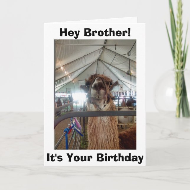 *BROTHER* LLAMA SPASS AM GEBURTSTAG KARTE (Vorderseite)