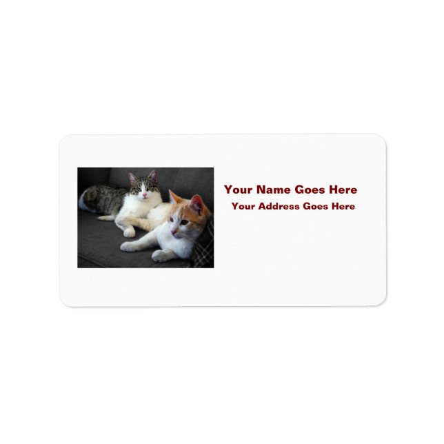 Brother & Sister Kitties Adressaufkleber (Vorne)